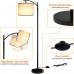 Toytexx Floor Lamp for Living Room, LED Standing Lamp with 2 Lamp Shades for Bedroom, 9W LED Bulb Included - Black Color